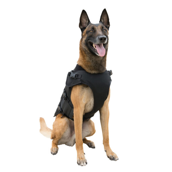 K-9 vest